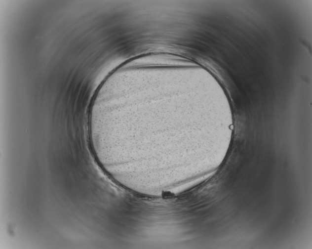 X0000098201048200805221537