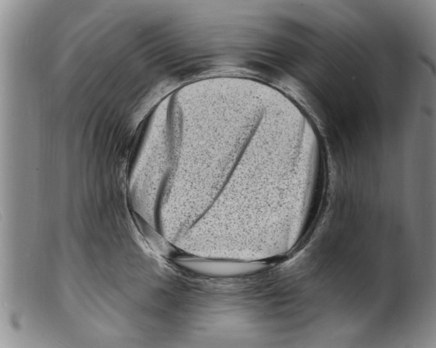 X0000098201049200805221537