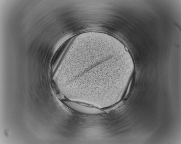 X0000098201050200805221537
