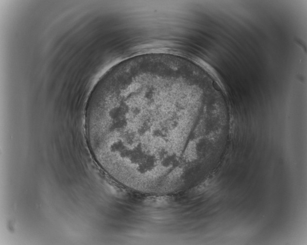 X0000098201051200805221537