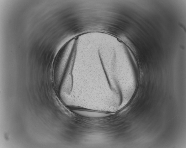 X0000098201052200805221537