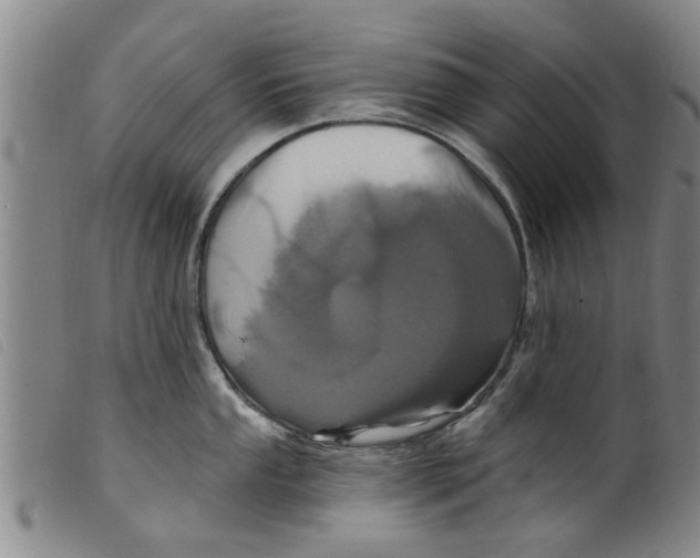 X0000098201053200805221537