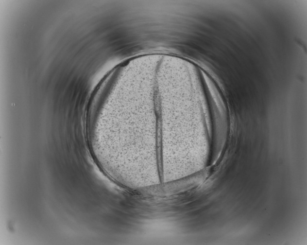 X0000098201054200805221537