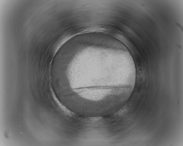 X0000098201055200805221537