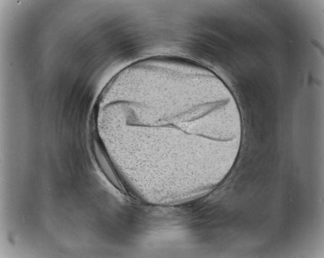 X0000098201056200805221537