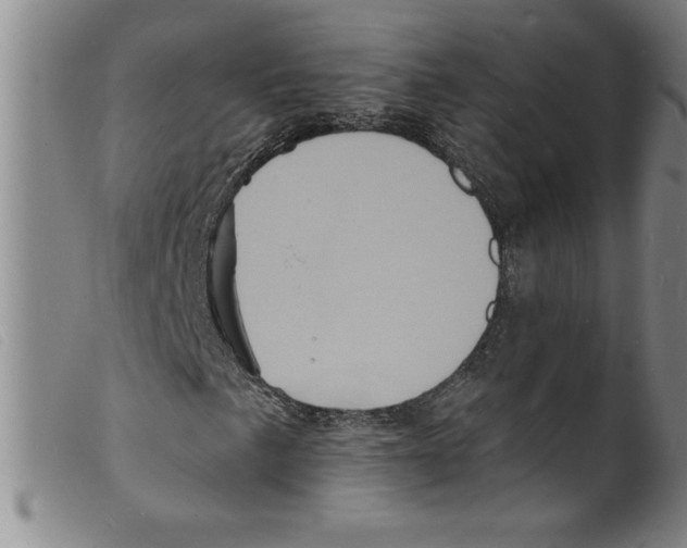 X0000098201057200805221536