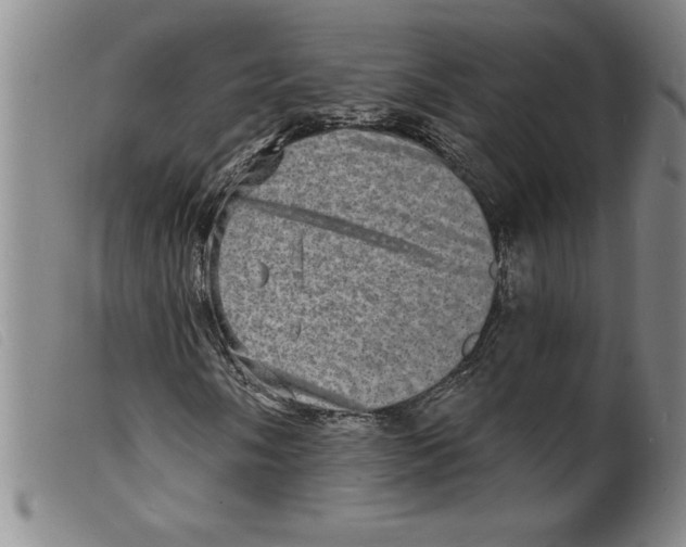 X0000098201058200805221536