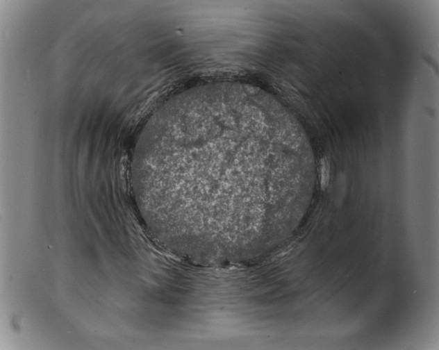 X0000098201059200805221536
