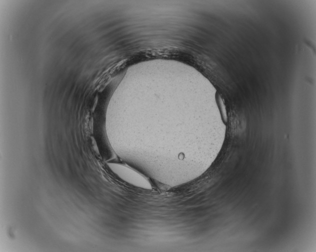 X0000098201060200805221536