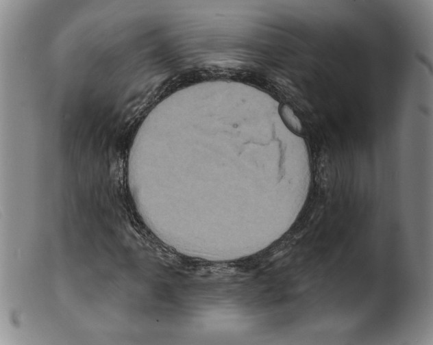 X0000098201061200805221536