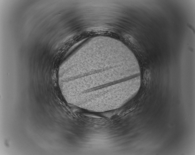 X0000098201062200805221536