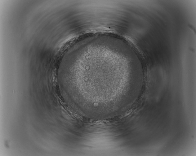 X0000098201063200805221536