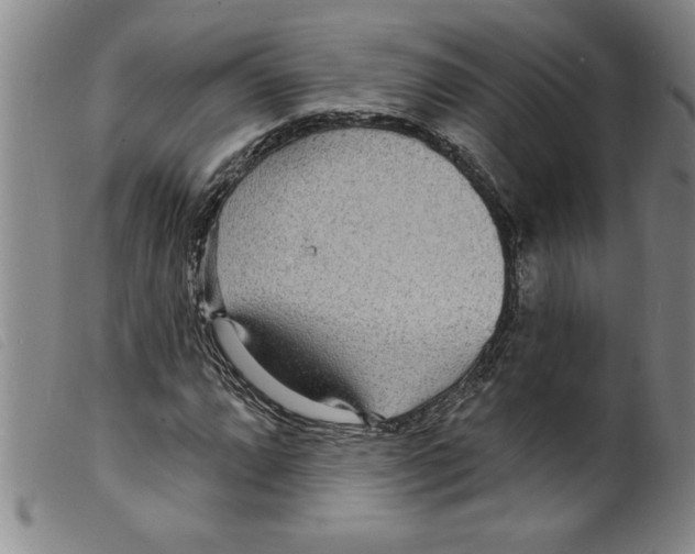 X0000098201064200805221536