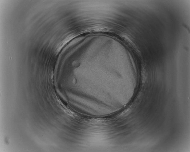 X0000098201065200805221536