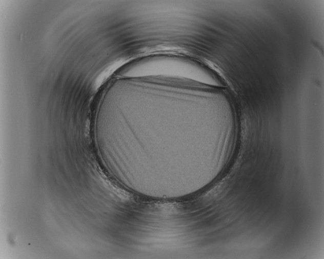 X0000098201066200805221536