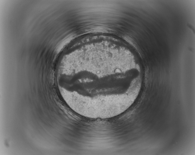 X0000098201067200805221536
