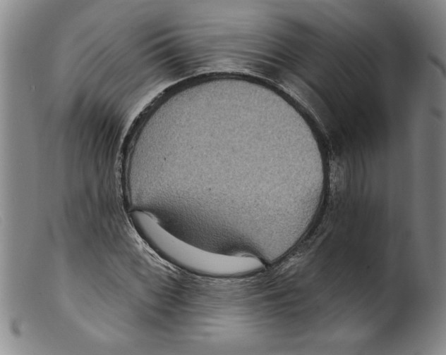 X0000098201068200805221536