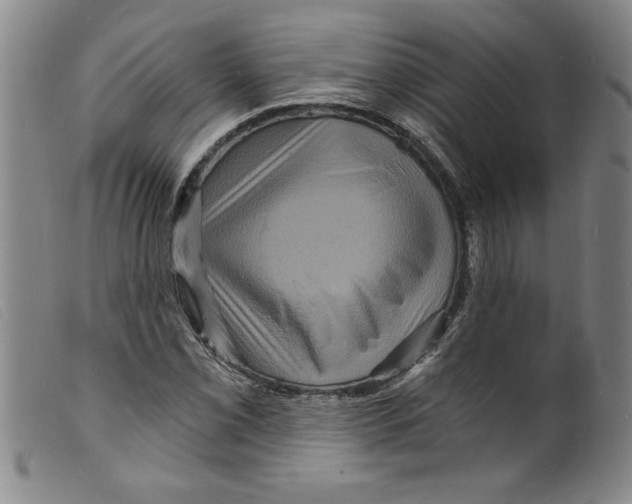 X0000098201069200805221536