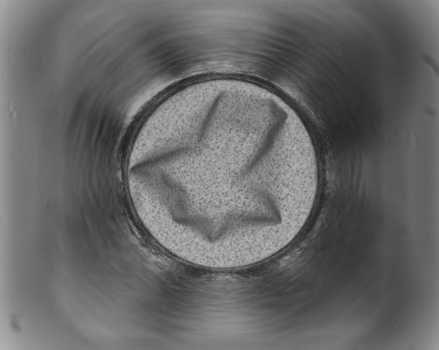X0000098201070200805221536