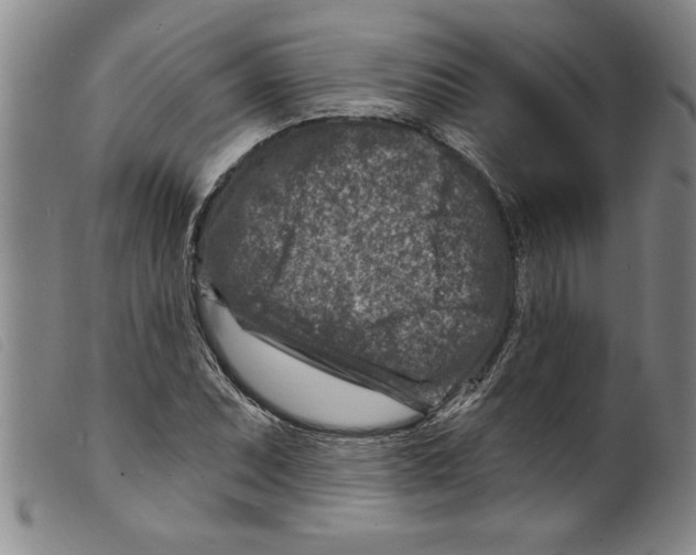 X0000098201071200805221536
