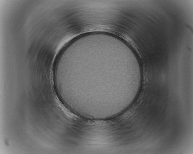 X0000098201072200805221536