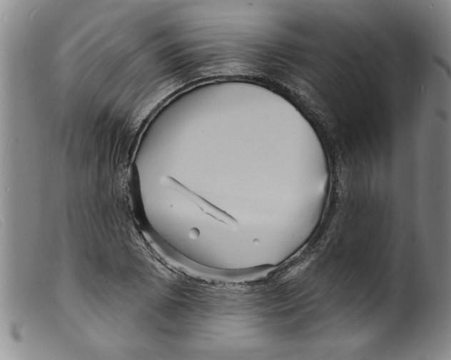 X0000098201073200805221536
