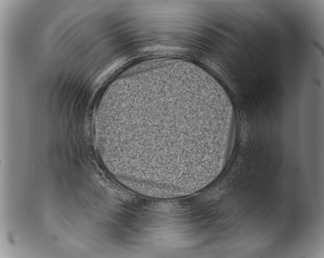 X0000098201074200805221536