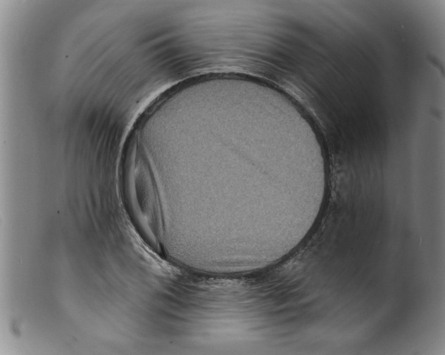X0000098201076200805221536