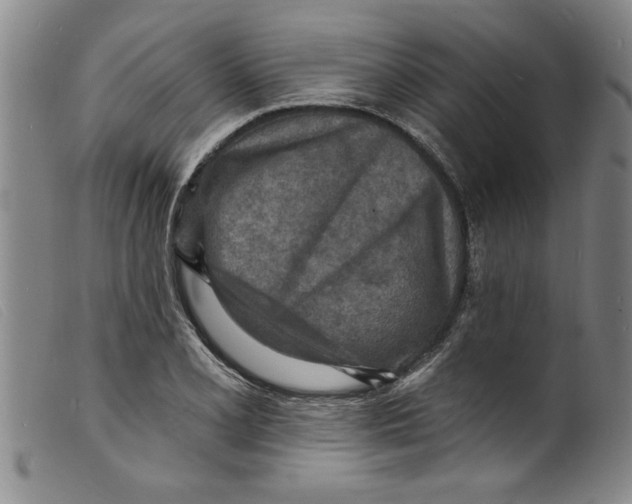 X0000098201077200805221536