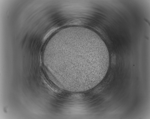 X0000098201078200805221536