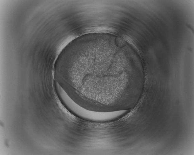 X0000098201079200805221536