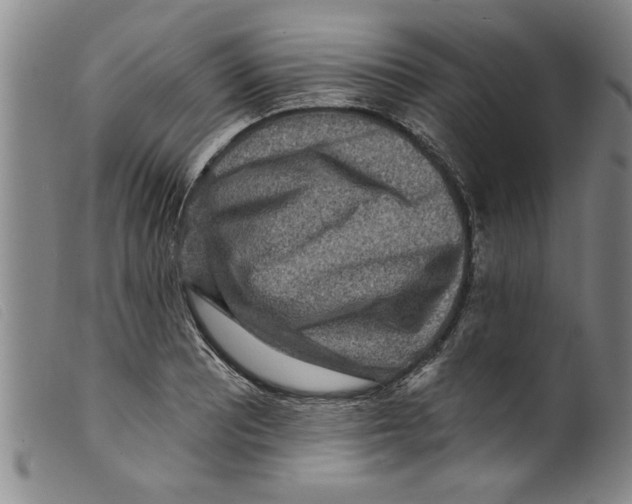 X0000098201081200805221536