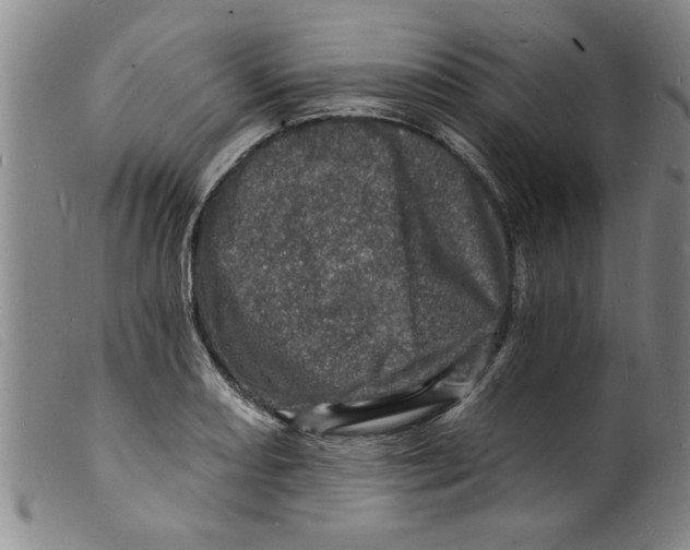 X0000098201082200805221536
