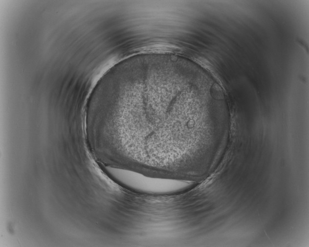 X0000098201083200805221535