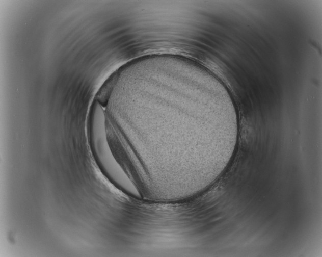 X0000098201084200805221535