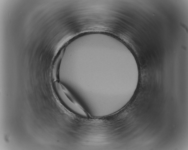 X0000098201085200805221535
