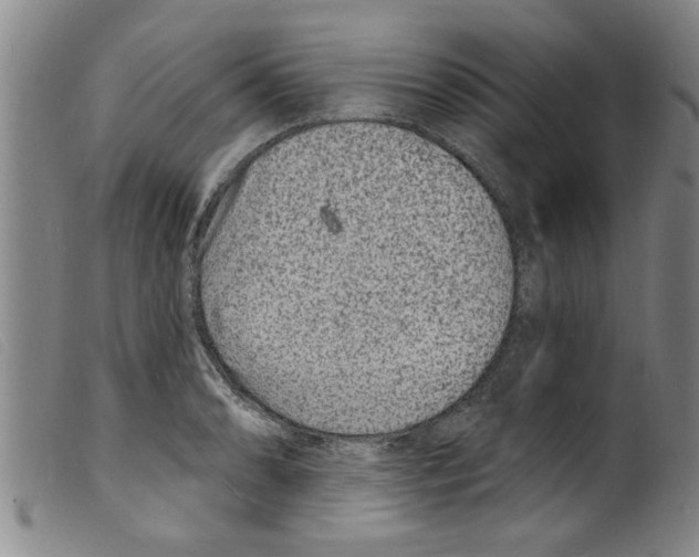 X0000098201086200805221535