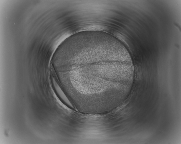 X0000098201087200805221535