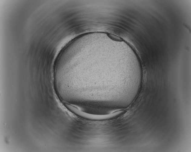 X0000098201088200805221535