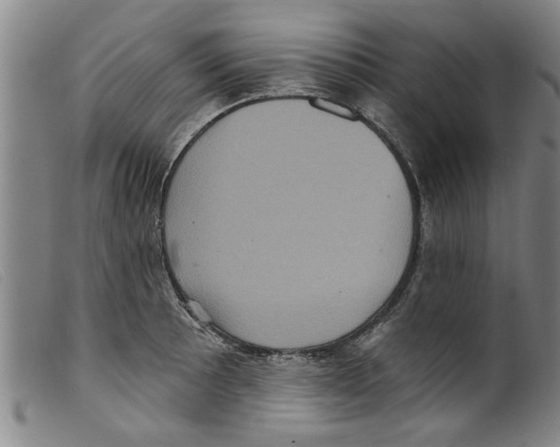 X0000098201089200805221535