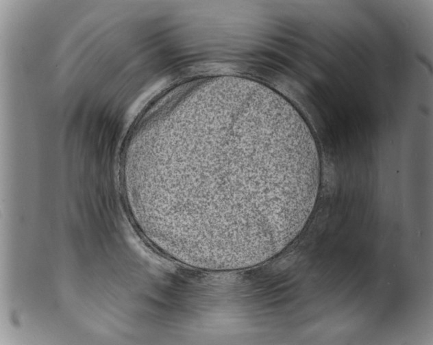 X0000098201090200805221535