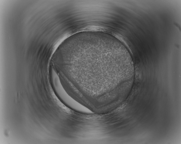 X0000098201091200805221535