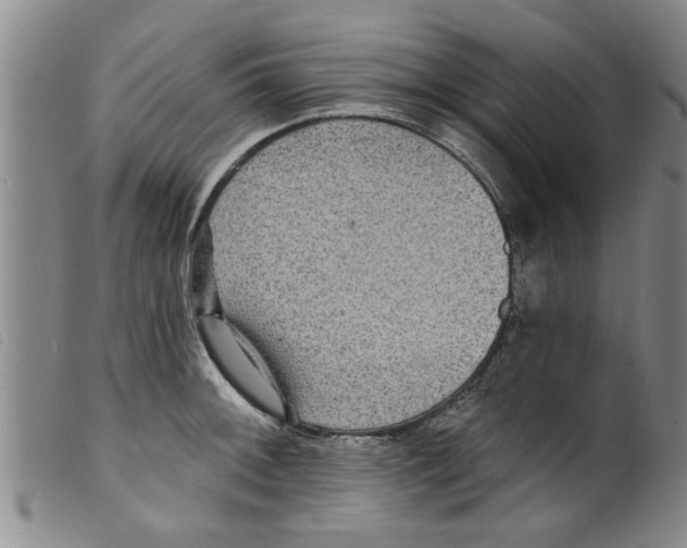 X0000098201092200805221535