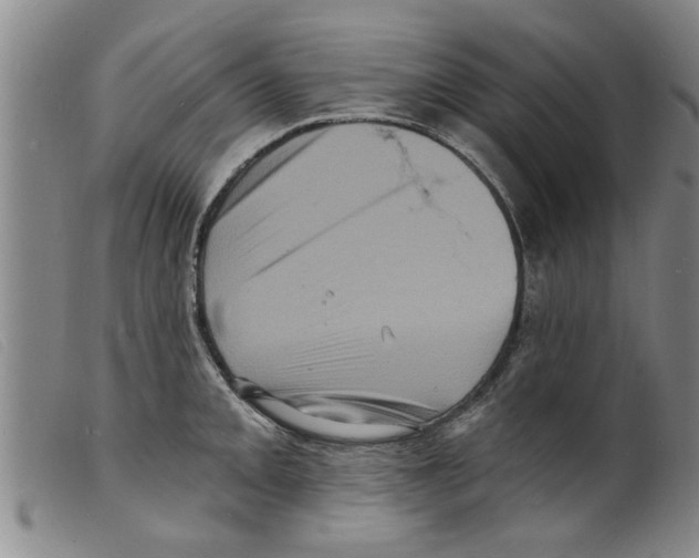 X0000098201093200805221535