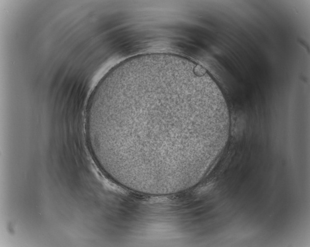 X0000098201094200805221535