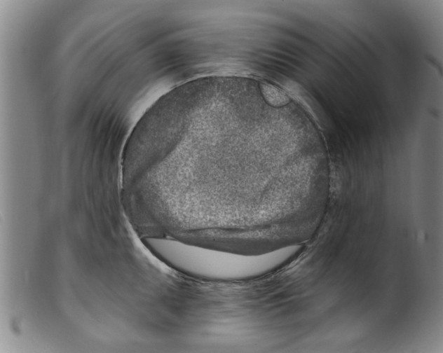 X0000098201095200805221535