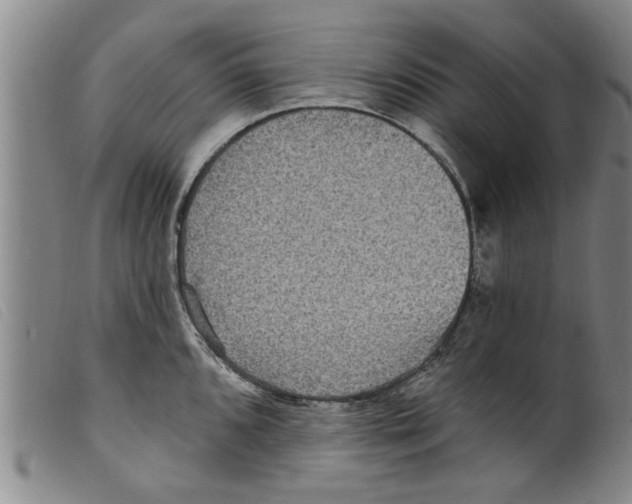 X0000098201096200805221535