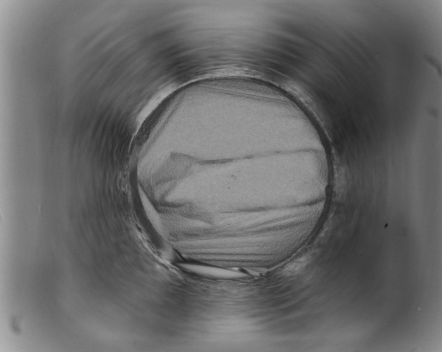 X0000098201097200805221535