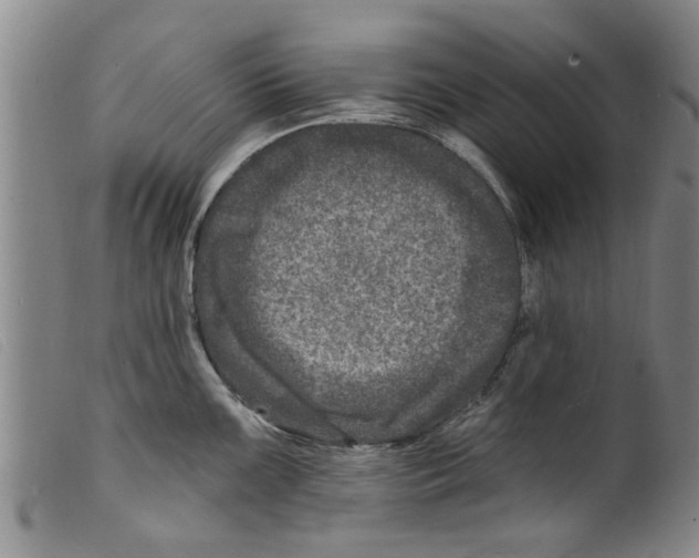 X0000098201099200805221535