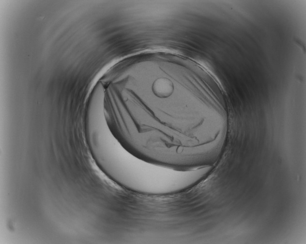X0000098201100200805221535